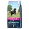 Eukanuba Adult Large Breed - Chicken 2 Eukanuba Adult Large Breed - Chicken -Pet Supplies Store 162907 pla tetragmbhiams eukanuba adult largebreed huhn dog d15kg hs 01 5
