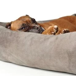 Hunter Bologna Dog Sofa - Stone -Pet Supplies Store 163796 hunter hundesofa bologna stein dog 90x70cm hs 04 4