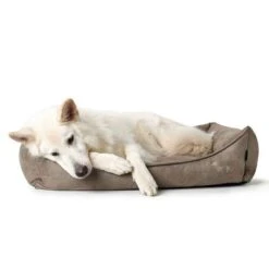 Hunter Bologna Dog Sofa - Stone -Pet Supplies Store 163796 hunter hundesofa bologna stein dog 90x70cm hs 08 4