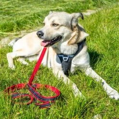 Petlando Pawz & Pepper Strong Dog Harness – Red/Black -Pet Supplies Store 174596 174696 petlando fuhrleinestrong rot 230cm hs 07 5