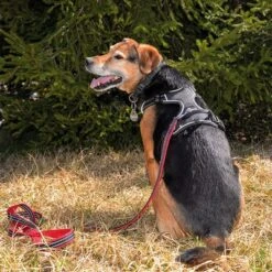 Petlando Pawz & Pepper Strong Dog Harness – Red/Black -Pet Supplies Store 174596 174696 petlando fuhrleinestrong rot 230cm hs 09 7