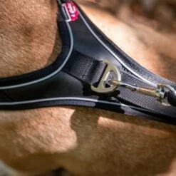 Curli Belka Comfort Harness - Black -Pet Supplies Store 176034 curli belka comfort geschirr schwarz hs 10 7