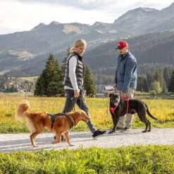 Curli Belka Comfort Harness - Black -Pet Supplies Store 176034 curli belka comfort geschirr schwarz hs 12 7