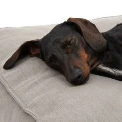 Hamilton EcoLIFE Dog Bed Grey -Pet Supplies Store 180715 hamilton ecolife grau fg 6400 5