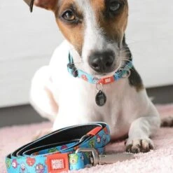 Max & Molly Little Monsters Short Lead 12 Max & Molly Little Monsters Short Lead -Pet Supplies Store 189596 maxnmolly kurzleine little monsters dog hs 02 6