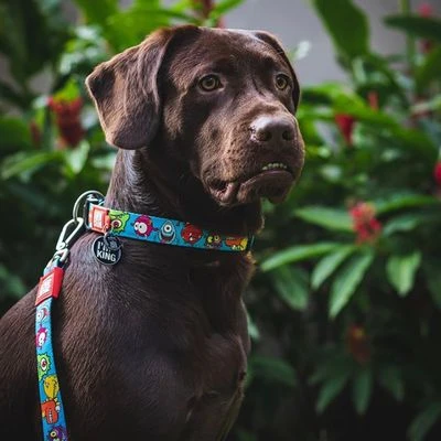 Max & Molly Little Monsters Short Lead 4 Max & Molly Little Monsters Short Lead - Image 2