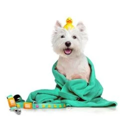 Max & Molly Ducklings Short Lead -Pet Supplies Store 190096 maxnmolly kurzleine ducklings hs 02 1