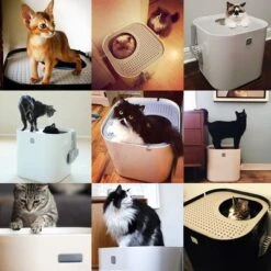 Modko ModKat Cat Litter Box -Pet Supplies Store 190401 modkat katzentoilette hs 01 3