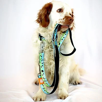 Max & Molly Black Sheep Multifunctional Dog Lead 4 Max & Molly Black Sheep Multifunctional Dog Lead - Image 2