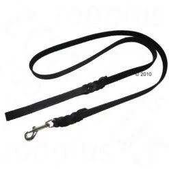 Heim Plaited Leather Dog Lead - Black