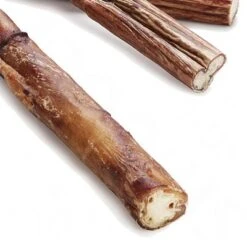 Premium Bull Pizzle -Pet Supplies Store 199746 neu 1premium ochsenz 5