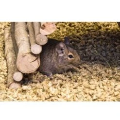 Bunny Bedding Cosy -Pet Supplies Store 1 73379 bunny beddingcosy hs 02 8