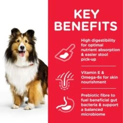 Hill's Science Plan Adult 1+ Sensitive Stomach & Skin Medium With Chicken -Pet Supplies Store 1 atf8 604385 key benefits 2