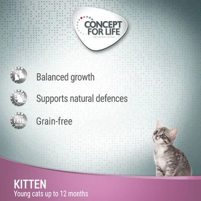 Concept For Life Kitten Salmon Grain-Free - In Gravy 4 Concept For Life Kitten Salmon Grain-Free - In Gravy - Image 2