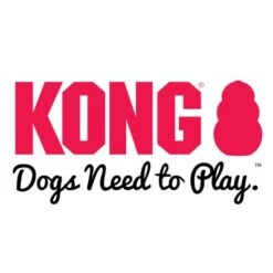 KONG Floppy Knots Fox -Pet Supplies Store 1 dogs need to play logo 1000x1000 2