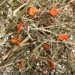 3kg Greenwoods Meadow Hay Mixed Trial Pack -Pet Supplies Store 1 greenwoods heu karotte 6