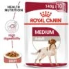 Royal Canin Medium Adult In Gravy 2 Royal Canin Medium Adult In Gravy -Pet Supplies Store 1 rc shn wet mediumadult mv eretailkit 6