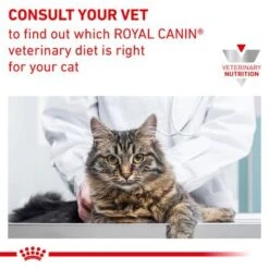 Royal Canin Veterinary Cat - Urinary S/O 15 Royal Canin Veterinary Cat - Urinary S/O -Pet Supplies Store 1 rc vet dry caturinarysomc eretailkit b1 page 09 6