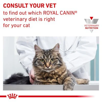 Royal Canin Veterinary Cat - Urinary S/O 8 Royal Canin Veterinary Cat - Urinary S/O - Image 6