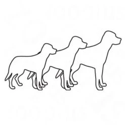 Bozita Robur Performance 33/20 -Pet Supplies Store 1 robur all 6