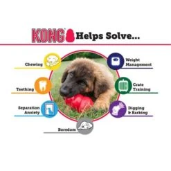 KONG Extreme Black -Pet Supplies Store 1 solutions eng 3