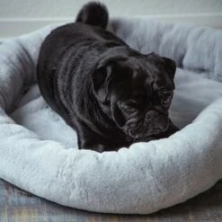 HAFENBANDE Flory Heating Pad -Pet Supplies Store 200322 waagenschmitt hafenbande heizmatte flory hs 11 8