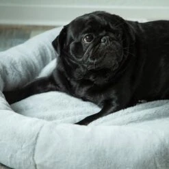 HAFENBANDE Flory Heating Pad -Pet Supplies Store 200322 waagenschmitt hafenbande heizmatte flory hs 12 1