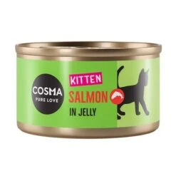 Cosma Original Kitten Saver Pack 24 X 85g -Pet Supplies Store 203440 pla cosma kitten salmon jelly 85g 1000x1000 6
