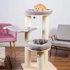 Natural Paradise Scratching Tree - Amaryllis L -Pet Supplies Store 203909 naturalparadise kratzbaum amaryllis l hs 08 1 6