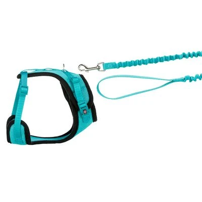 Trixie Mesh Y-Harness With Elastic Leash 6 Trixie Mesh Y-Harness With Elastic Leash - Image 4