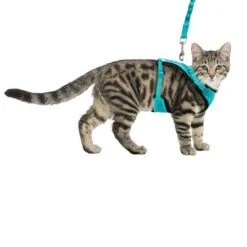 Trixie Mesh Y-Harness With Elastic Leash 15 Trixie Mesh Y-Harness With Elastic Leash -Pet Supplies Store 203970 trixie mesh ygeschirr elastischerleine hs 05 7