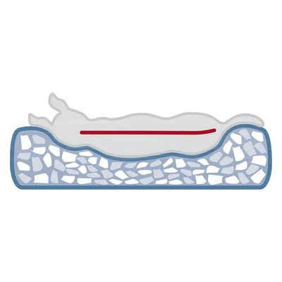 Trixie Vital Bed Noah 6 Trixie Vital Bed Noah - Image 4