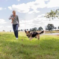 Trixie Bait Trap -Pet Supplies Store 209093 trixie reizangel hs 08 7