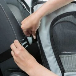 Trixie Car Seat 17 Trixie Car Seat -Pet Supplies Store 209095 trixie autositz hs 10 2