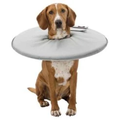 Trixie Protective Collar -Pet Supplies Store 212908 213096 212909 213097 213196 213197 212910 trixie schutzkragen hs 05 6