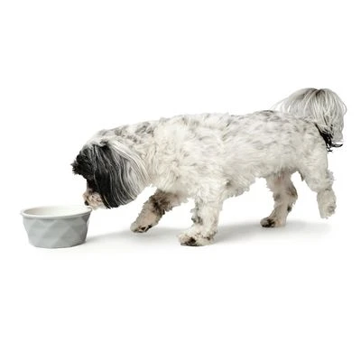 HUNTER Eiby Ceramic Bowl - Grey 4 HUNTER Eiby Ceramic Bowl - Grey - Image 2