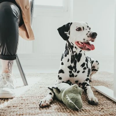 HUNTER Tough Toys Crocodile Dog Toy 4 HUNTER Tough Toys Crocodile Dog Toy - Image 2