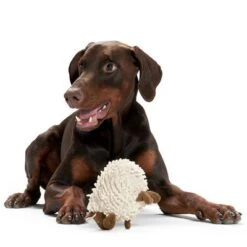 HUNTER Dog Toy Snugly Sheep -Pet Supplies Store 212982 hunter hundespielzeug snugly schaf hs 03 9