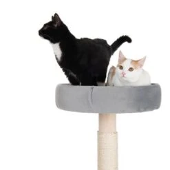 Cali Cat Tree -Pet Supplies Store 215615 kratzbaum cali fg 9020 6