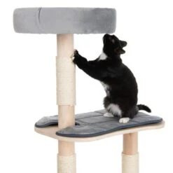 Cali Cat Tree -Pet Supplies Store 215615 kratzbaum cali fg 9026 8