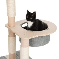 Ankara Cat Tree -Pet Supplies Store 216096 kratzbaum ankara fg 8999 2