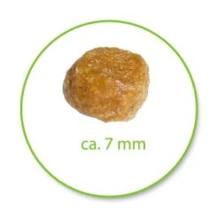 PURINA PRO PLAN Kitten Healthy Start - Rich In Chicken -Pet Supplies Store 2165 ppk kitten 4