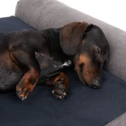 Dog Mattress Malbork -Pet Supplies Store 217823 hundematratze malbork fg 8706 2