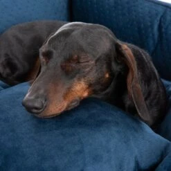 Bed Lublin With Pillow -Pet Supplies Store 218997 hundebett lublin fg 8655 6