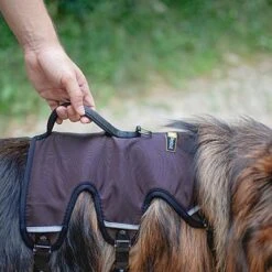 Ferplast Ergotrekking Harness, Brown -Pet Supplies Store 224505 224506 224507 ferplast ergotrekking geschirr braun hs 10 0