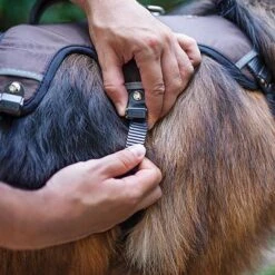 Ferplast Ergotrekking Harness, Brown -Pet Supplies Store 224505 224506 224507 ferplast ergotrekking geschirr braun hs 11 2