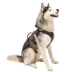 Ferplast Ergotrekking Harness, Brown -Pet Supplies Store 224505 224506 224507 ferplast ergotrekking geschirr braun hs 12 2