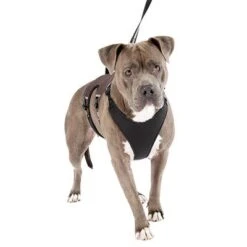 Ferplast Ergotrekking Harness, Brown -Pet Supplies Store 224505 224506 224507 ferplast ergotrekking geschirr braun hs 15 7