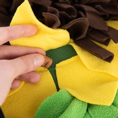 Sniffing Carpet Sunnyflower 9 Sniffing Carpet Sunnyflower - Image 7