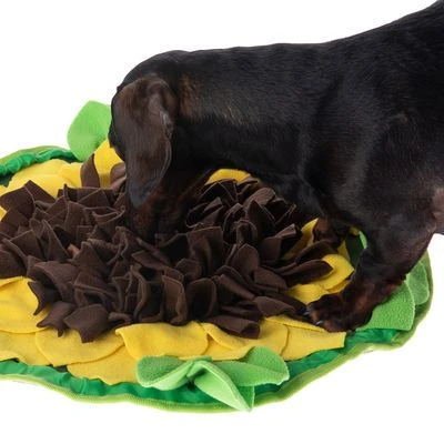 Sniffing Carpet Sunnyflower 10 Sniffing Carpet Sunnyflower - Image 8